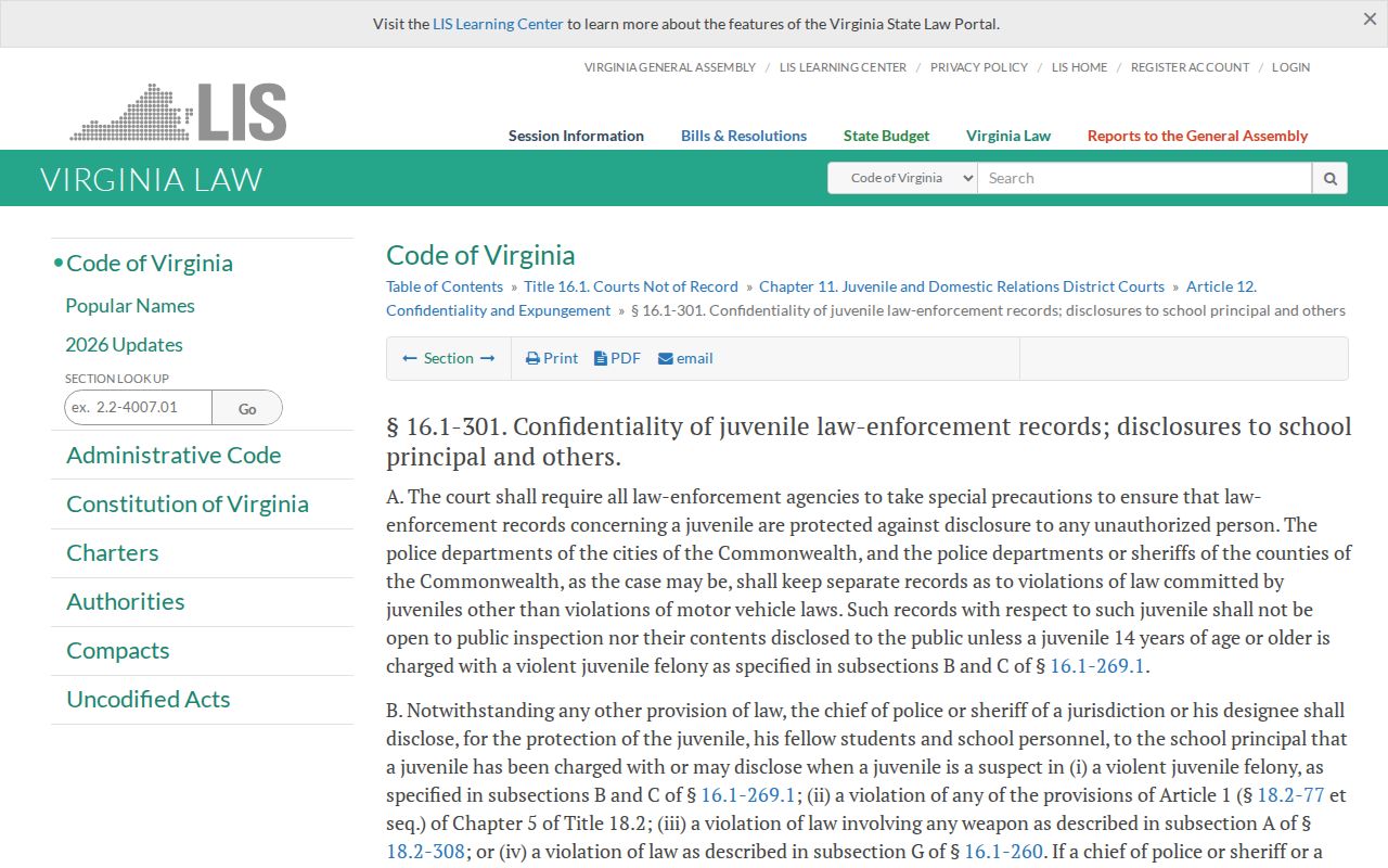 Virginia juvenile record confidentiality law relevant to Chesapeake warrant records